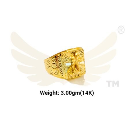 ring-3gm-1