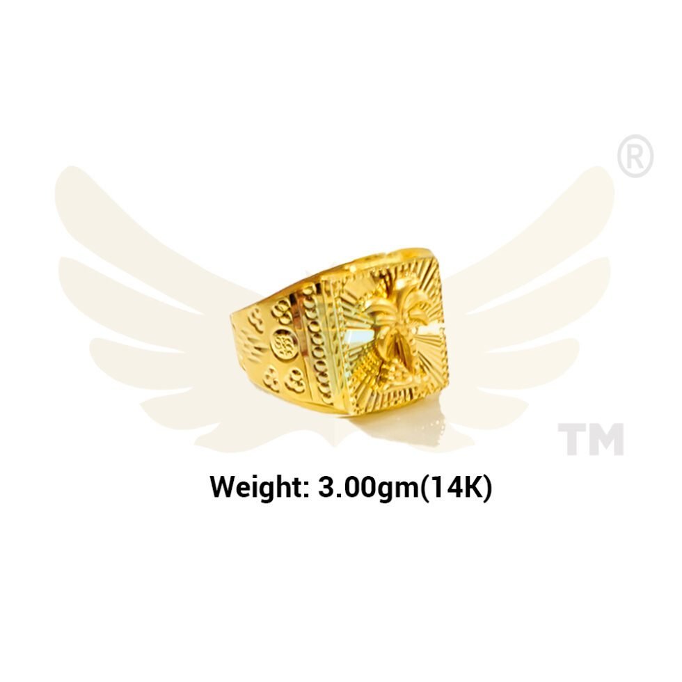 ring-3gm-1